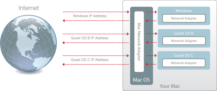 PD7 - Bridged Network