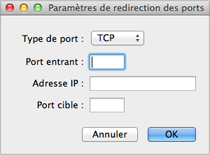 PD6_Adding Port-Forward Rule