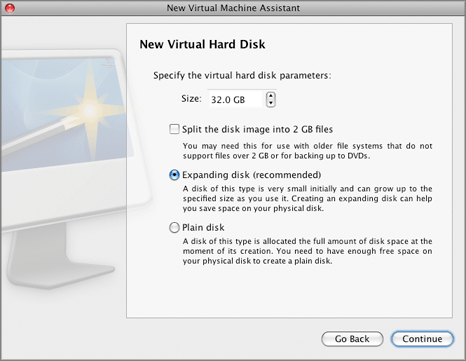 Choosing Virtual Disk Type