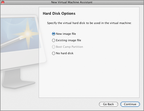 Custom Installation Mode - Choosing Disk Type
