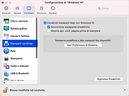 VM_Configuration_Shared Printers