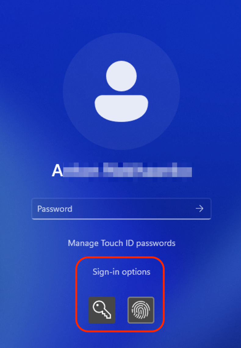 TouchID_Windows_Options